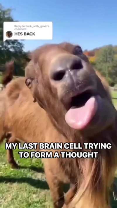 Me forming thoughts!🤣🐐❤️