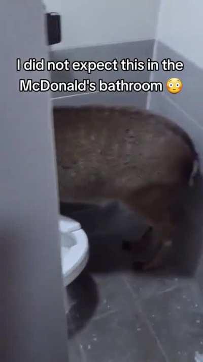 McDonald’s Bathroom Surprise 
