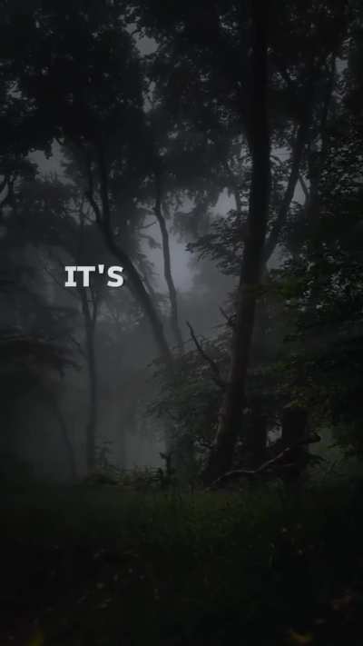 Nobody believe in you #Motivational