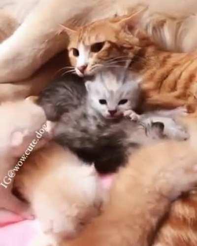 2 friends, 2 adorable families