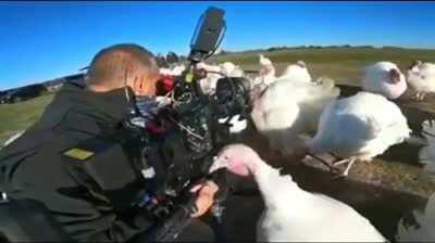 They even laughed at him :')