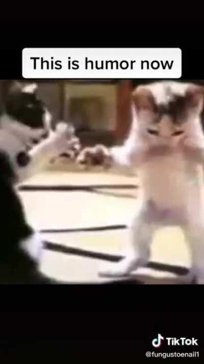 Humor en el 2020 be like