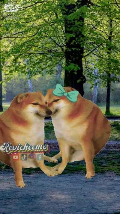 todo me gusta de Chims