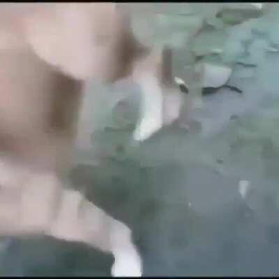 me hago pico la voz 2.0