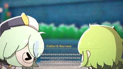 Bocchi the sucrose and collei