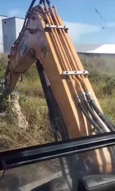 Man obliterates hornet’s nest with a backhoe, then thinks it through.