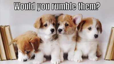 Checkmate yeagerists