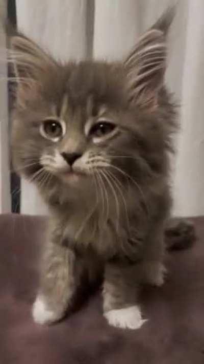 Rhea just woke up :)