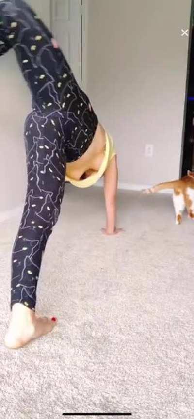 Banned right after this