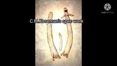 Sheather and C.M.Koseman