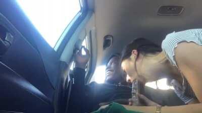 Sucking that big fat cock on the backseat