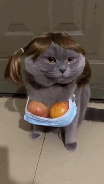 I had to check the sub this was posted in to see if this was a riff on our girl. It wasn't, but it is now!!