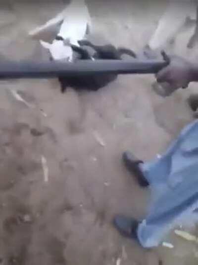 o cara meteu um beyblade no meio da rinha