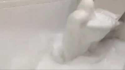 WHITE LATEX IS REAL...