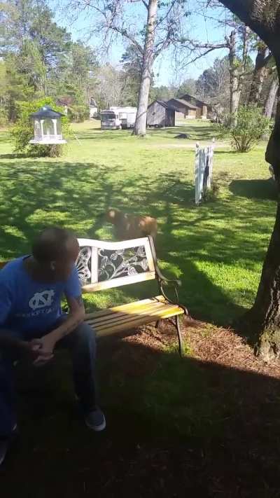 Dog Doesn't Recognize Owner After Weight Loss...Until He Sniffs Him