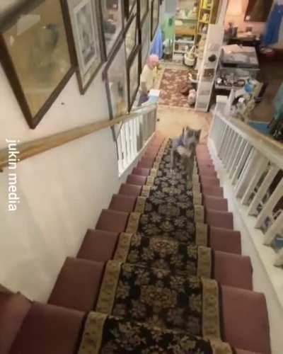 He's found a way to make getting down the stairs fun.