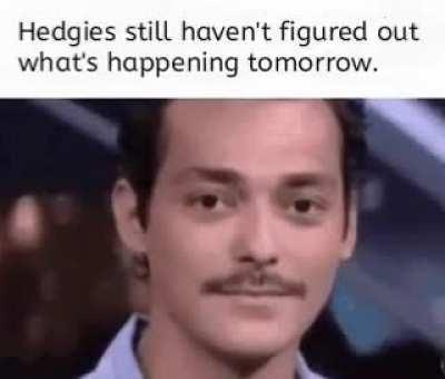 That thing is happening tomorrow and they still have no clue.