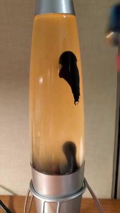 A ferro Fluid Lava Lamp...