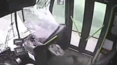 Damn legosi sure was serious about that whole social distancing thing