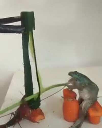 My new favourite band