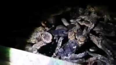 (Gruesome) Potential child organ harvesting catacombs discovered under a Hospital, looking for a translation, bodies look months old and phone time stamp is 12/26/2022. NSFW. Children’s clothes scattered