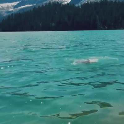 Peyton taking a swim
