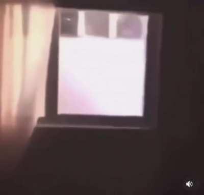 freaky ahh lil pitbull