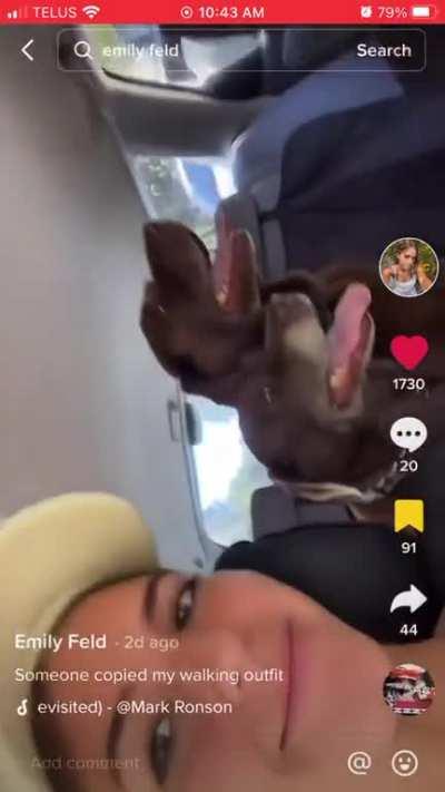 Some guys get all the luck