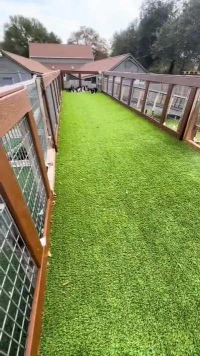 Vote for your favourite jumper