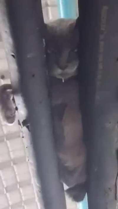 Sleeping on top of two pipes feels perfectly comfortable