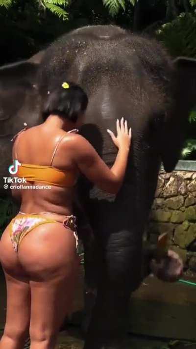 I’m no better than an elephant