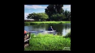 New World players be like