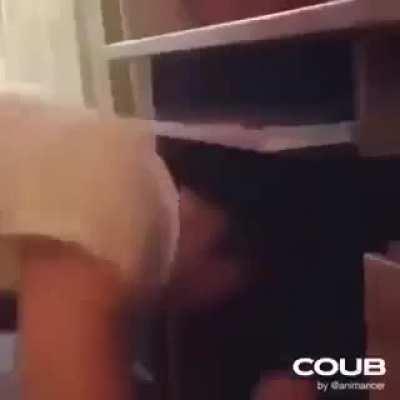 2016 pyro would laugh