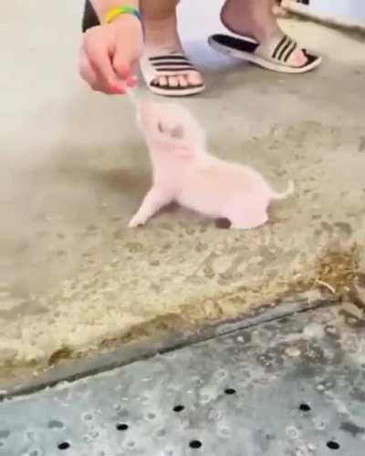 Se vc está triste Veja isso