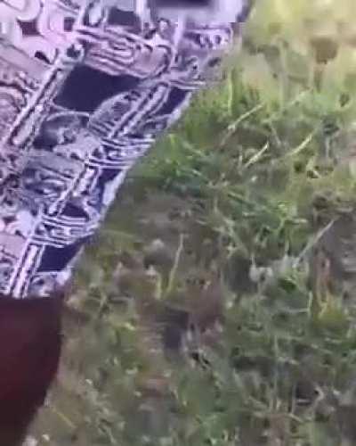 When two stupids meet in the middle