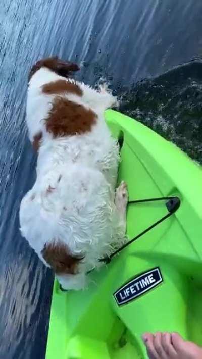 Gotta do whatcha gotta do