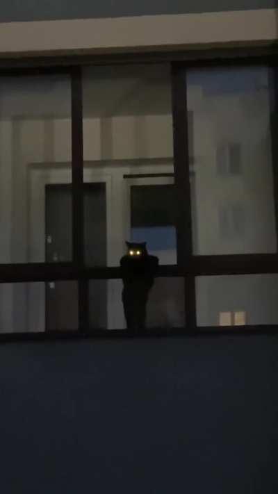 The one who sees everything...