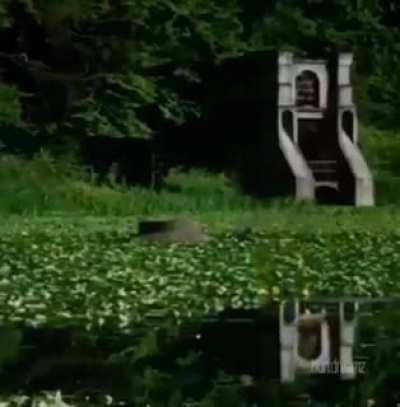 He really think he's bruce lee