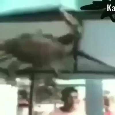 Andam dizendo que tu e