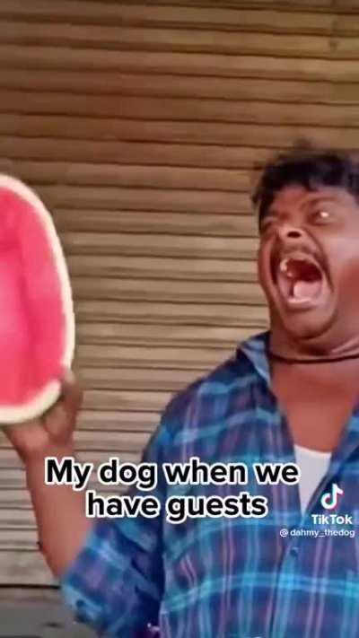 Dog when we have guests