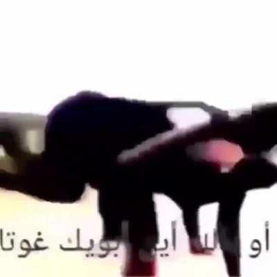 no pongbob that is haram!!11!!11!!!