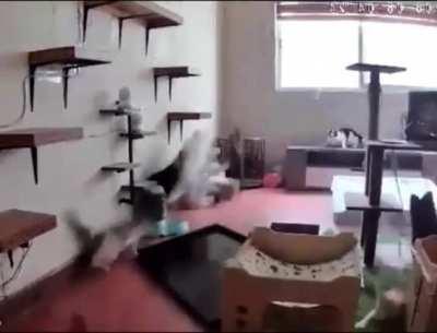 Glad they didn't overreact 😌