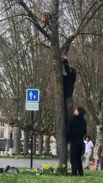 Homeschooled kids place fallen baby bird back in nest