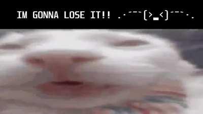 Me before accepting i was a femboy_irl