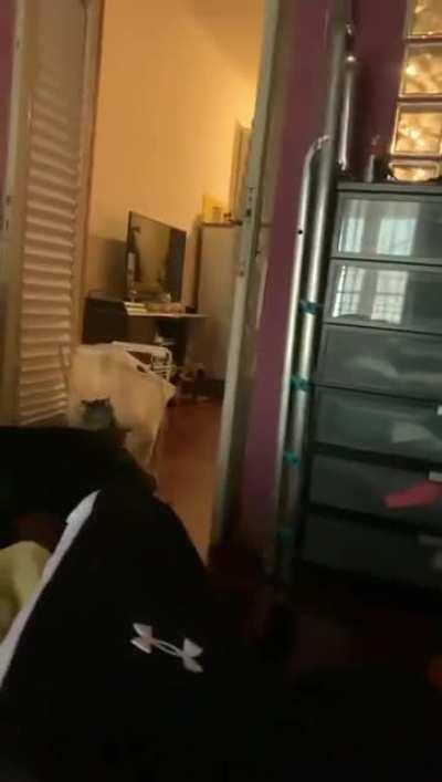 Recently got back from the vet. I guess the meds wore off?