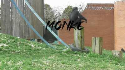 Check my flair if you don’t believe me