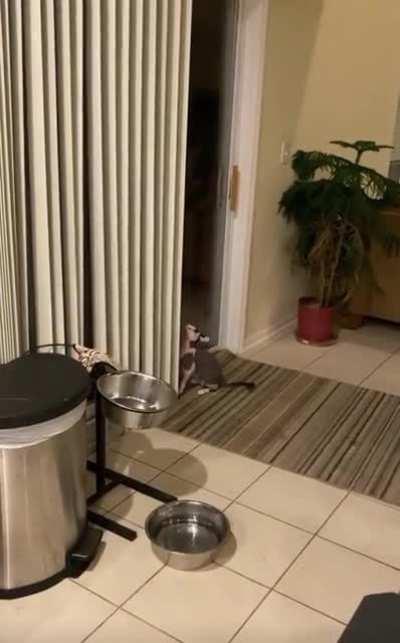 My name is Giovanni Giorgio