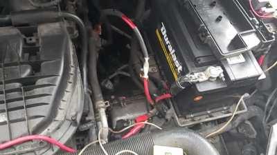 Backyard Bob was at it again.