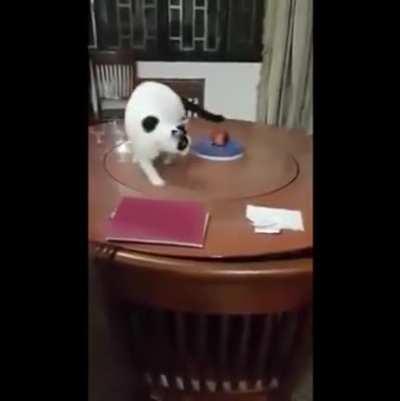 I feel this belongs here