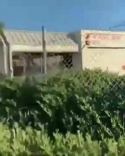 An interesting title